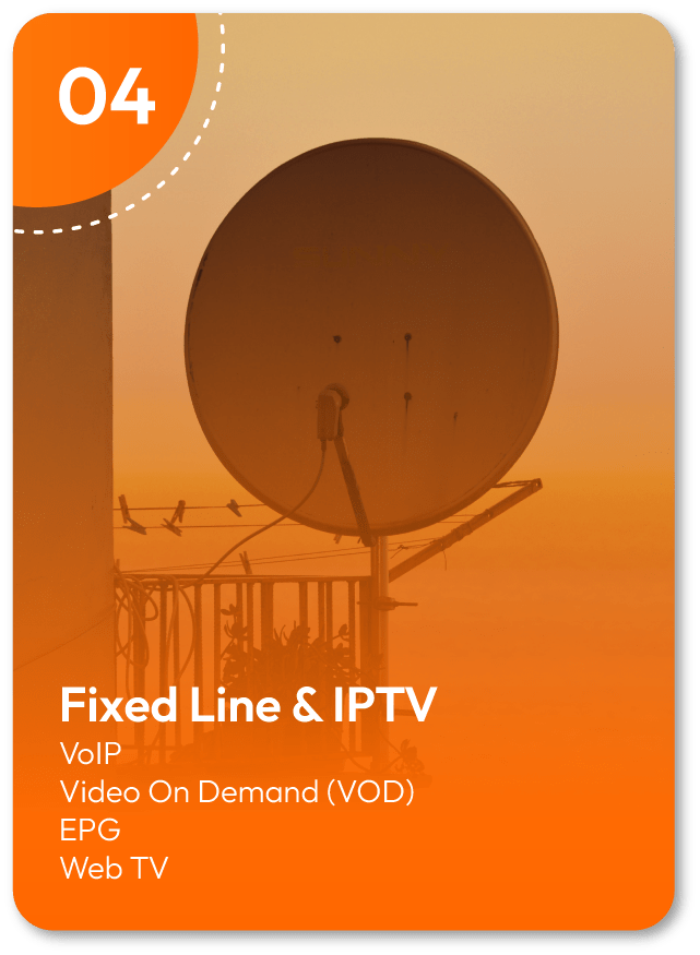 Fixed Line & IPTV
